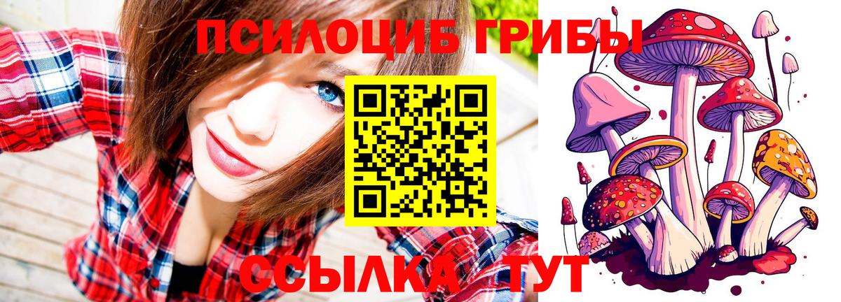 Ярославль  Галлюциногенные грибы Magic Shrooms  Вход с VPN 